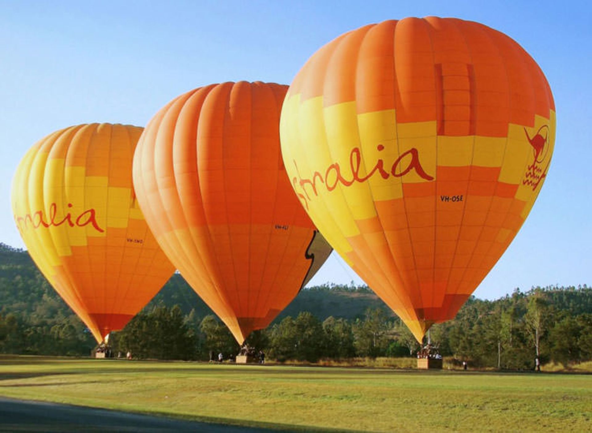 2016-1-98d3d59b-e7c1-49ea-81aa-b27c8a328190-hot--air--balloon--brisbane--&--canungra--vineyards-1