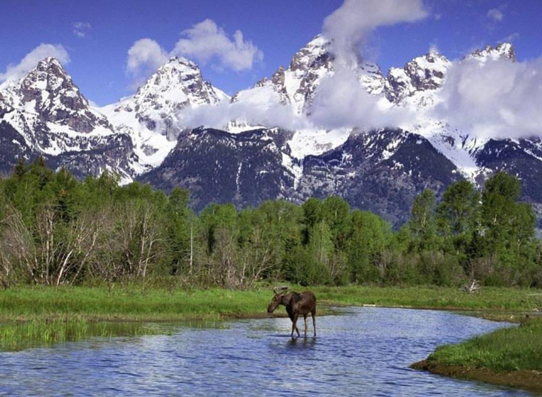 2016-1-a5fe59cd-647a-4b67-afed-ce5e71fc870a-grand--teton--national--park-wyoming-usa-2