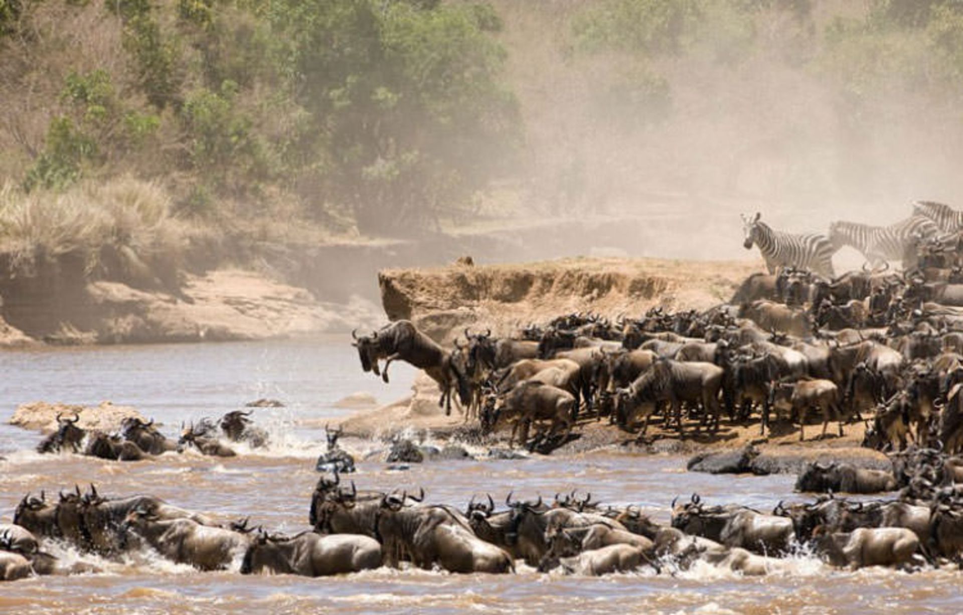 2016-1-a77277d3-0406-4490-b0a8-eb291a287242-serengeti-national--park-tanzania-2