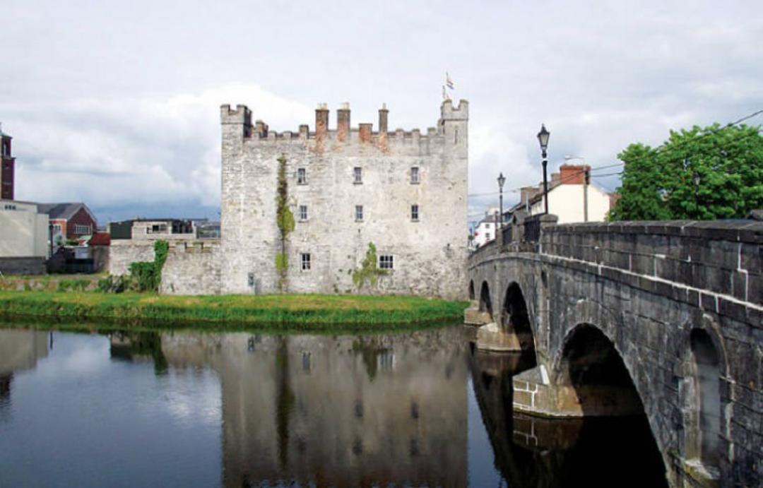 2016-1-a89e5907-e65e-4390-838d-13296e689fb3-white’s-castle-athy-ireland1