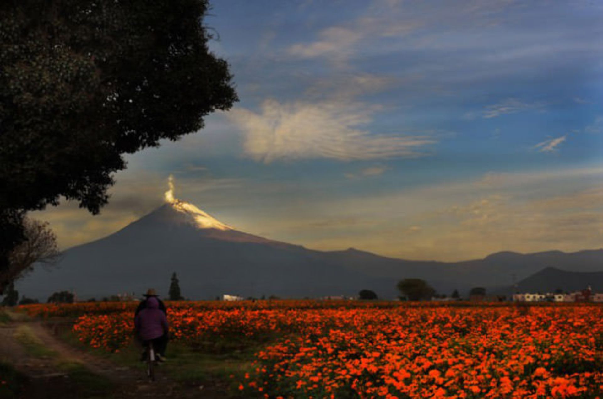 2016-1-aeab4fce-97ec-4627-8529-3f864a8631cf-popocatepetl--volcano-1