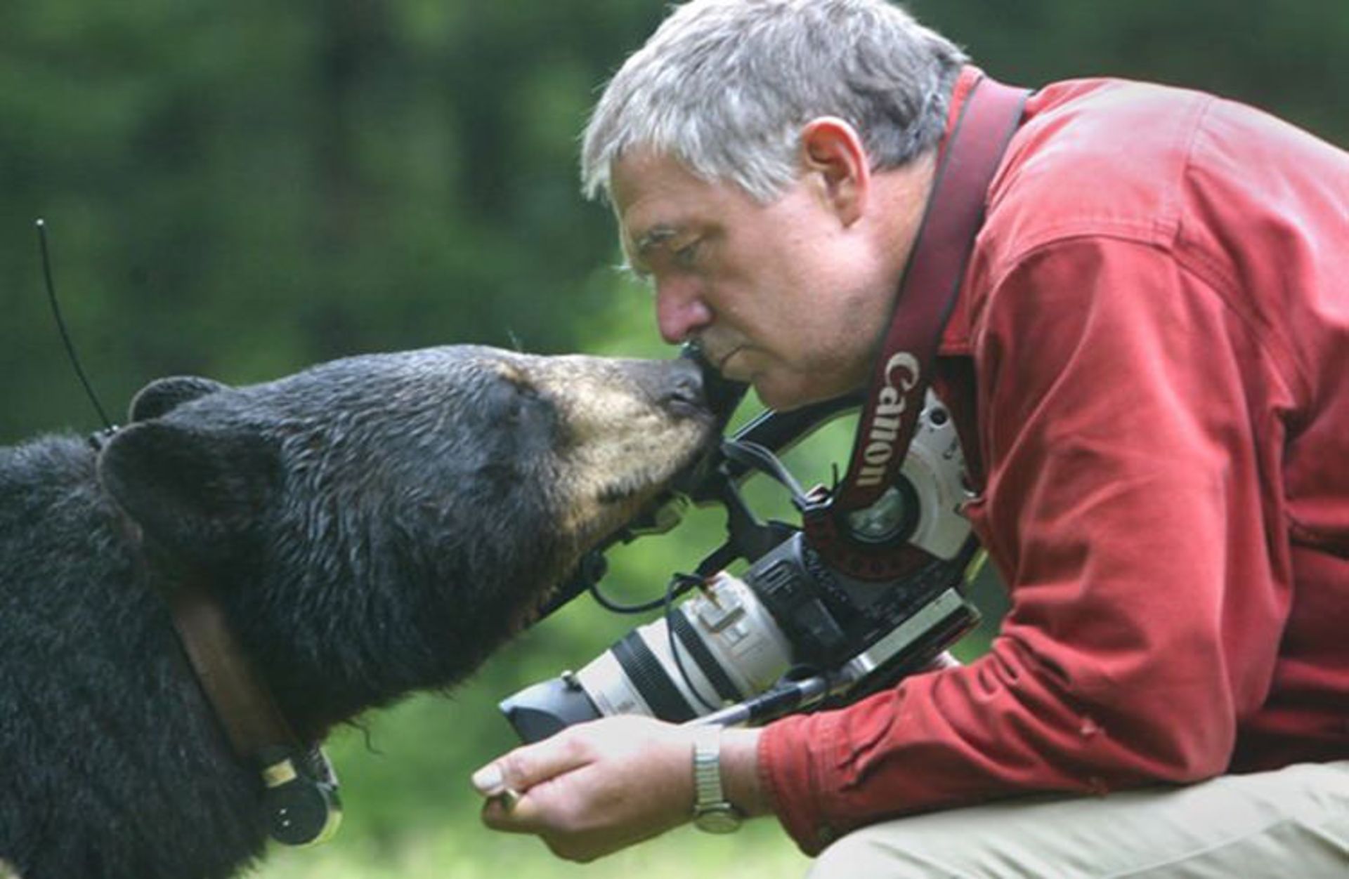 2016-1-b124ebcb-5db2-4c7f-ade2-b3aedeb5459f-bears-human