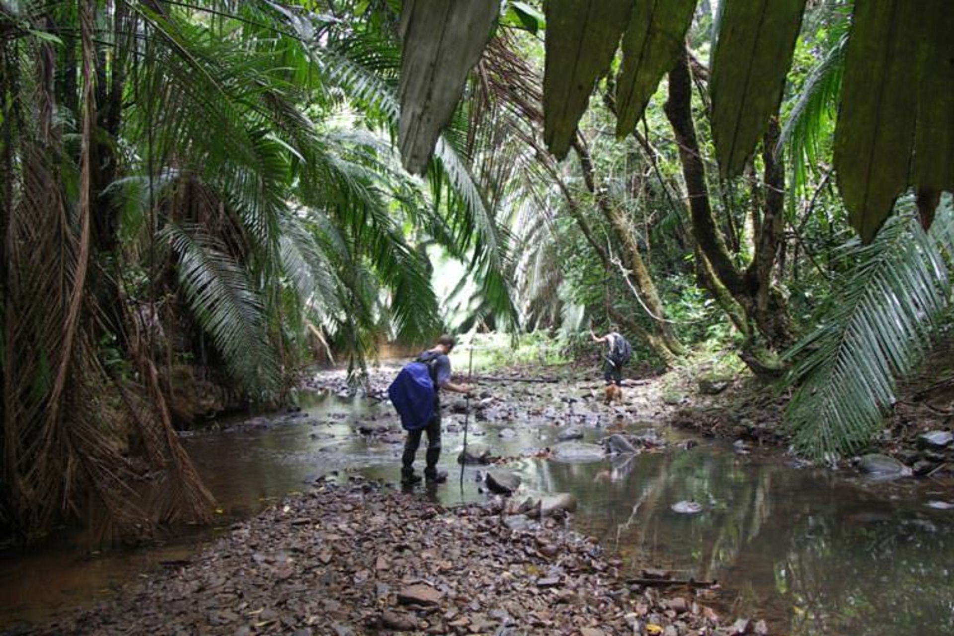 10-Kelabit-Highlands