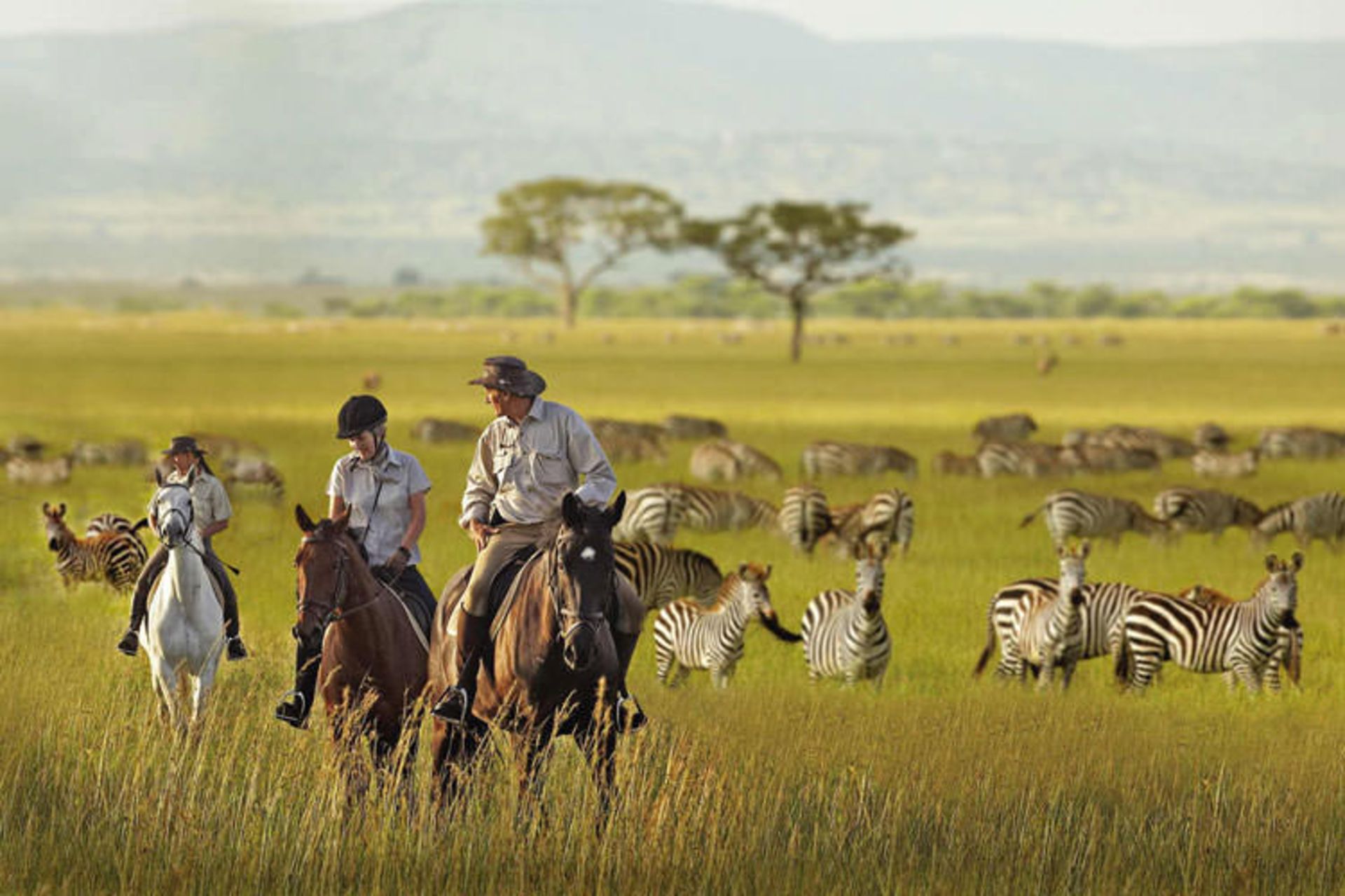 2016-1-be4bfb31-46d2-49d7-92cc-4c863ae14a56-serengeti-national--park-tanzania-7