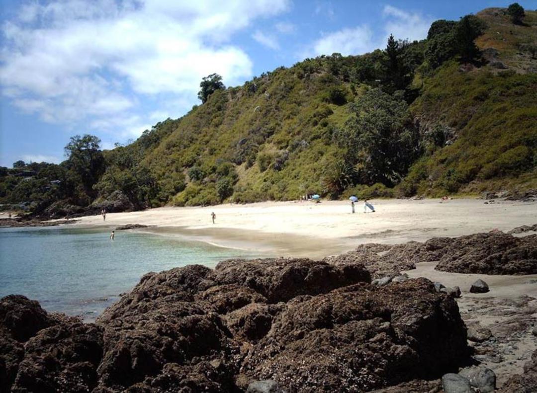 2016-1-be95282d-2f15-4fb4-b8a2-e81c7134ea69-waiheke--island-4
