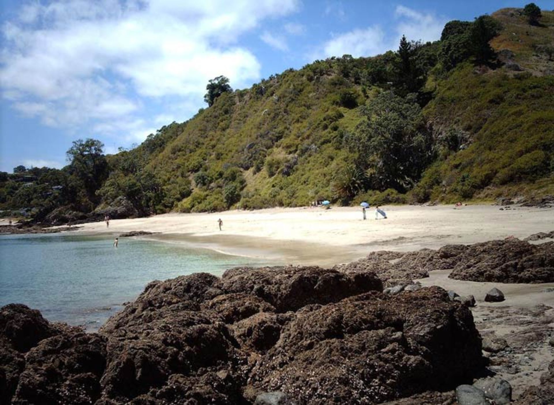 2016-1-be95282d-2f15-4fb4-b8a2-e81c7134ea69-waiheke--island-4
