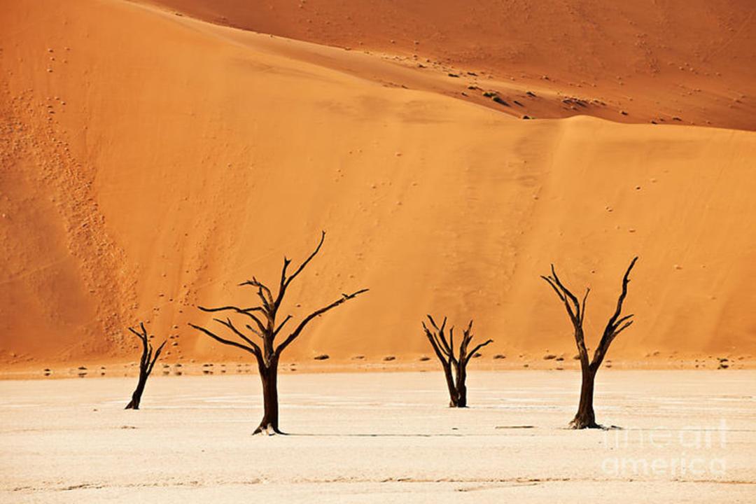 صحرای نامیب