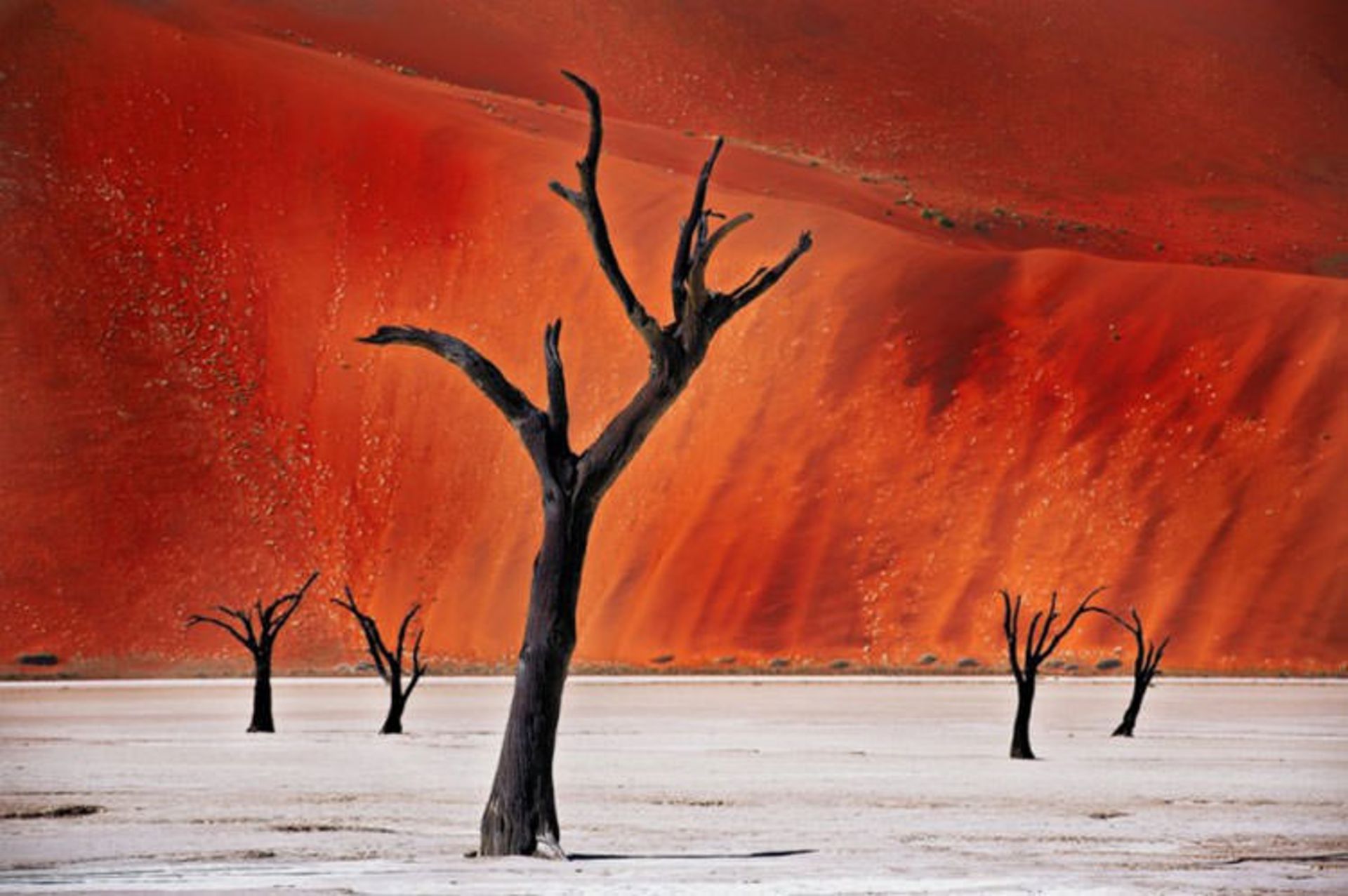 صحرای نامیب در نامیبیا