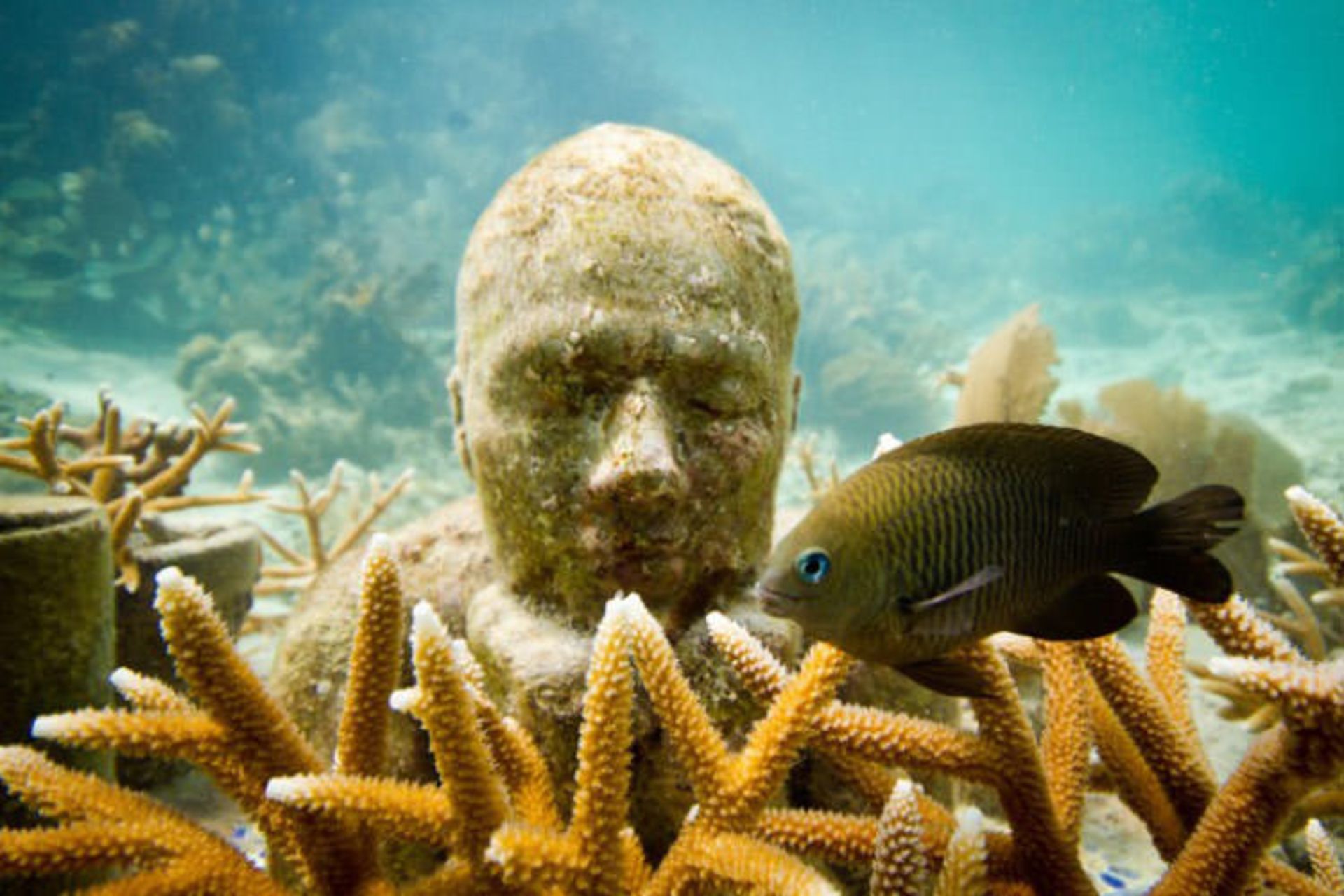2016-1-e3a4d750-7f2d-4f84-9de5-ba7c8de377f3-cancun--underwater--museum-cancun-5