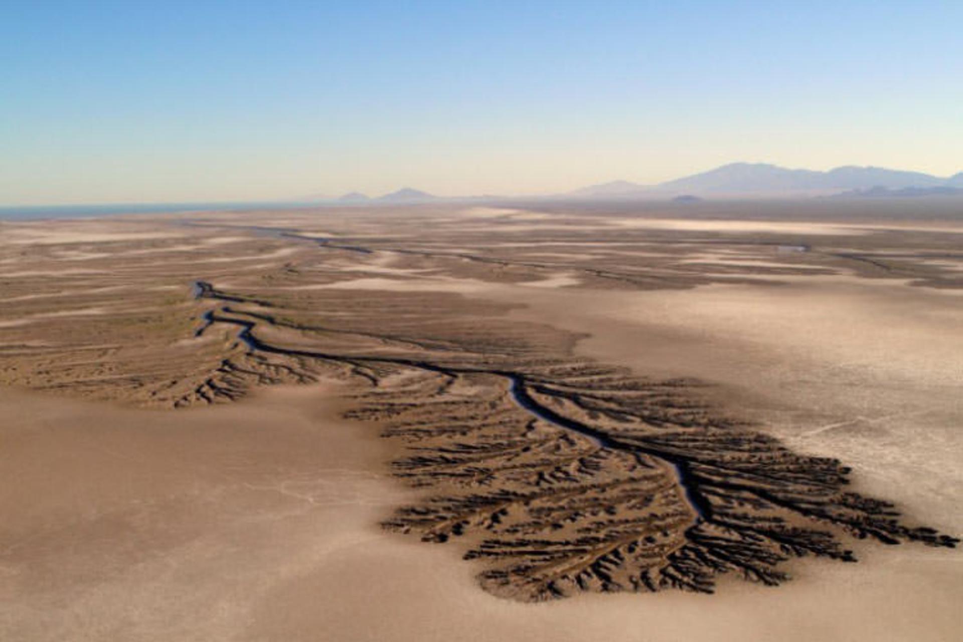 2016-1-e73b6fb2-6d68-4388-a91c-5414e89d9f78-baja--california--desert-4