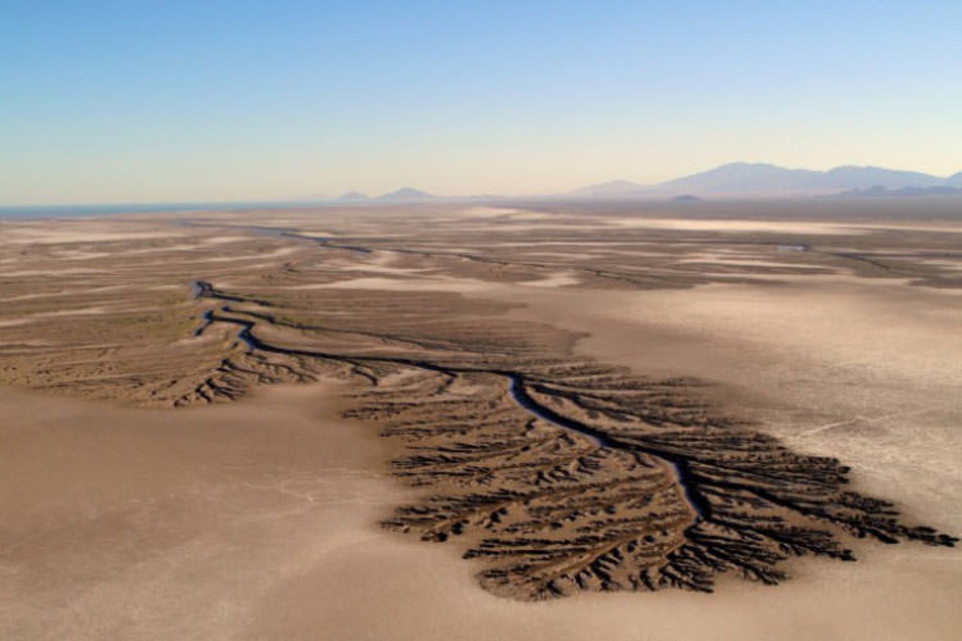 2016-1-e73b6fb2-6d68-4388-a91c-5414e89d9f78-baja--california--desert-4