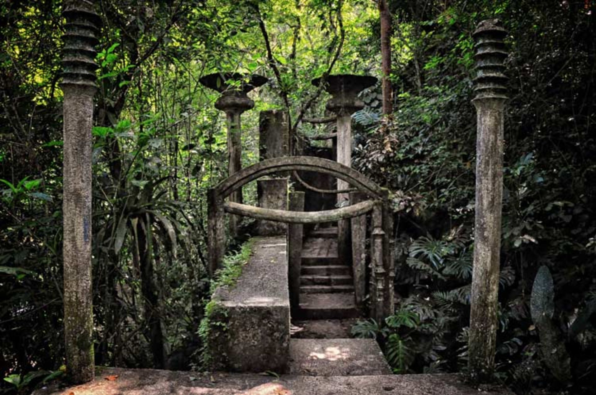 2016-1-e7b47906-fde1-411d-8c51-c8e0eddeb884-las--pozas--xilitla-8