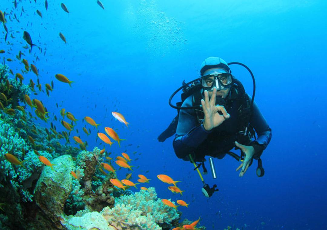 Scuba