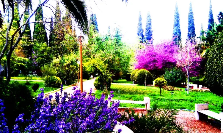تور شیراز