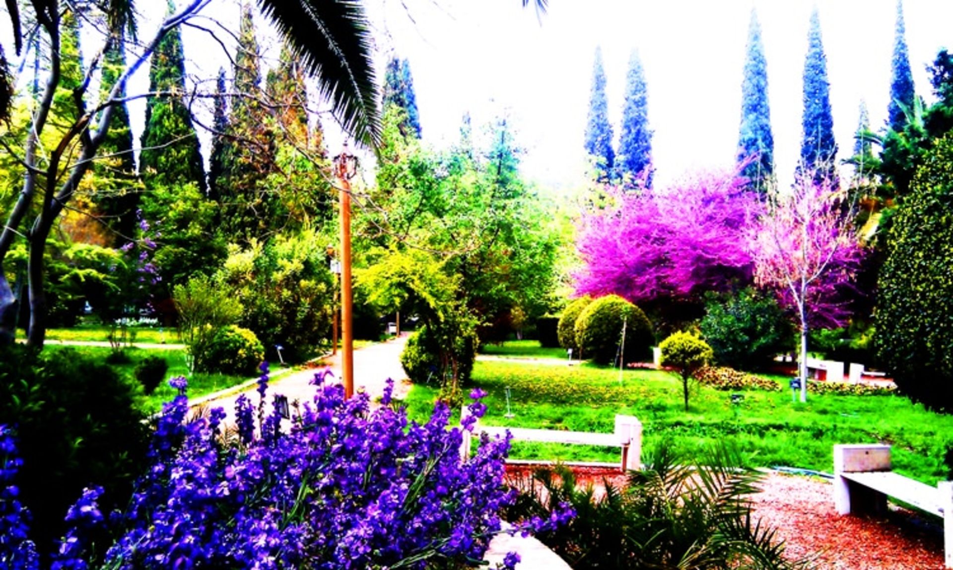 تور شیراز