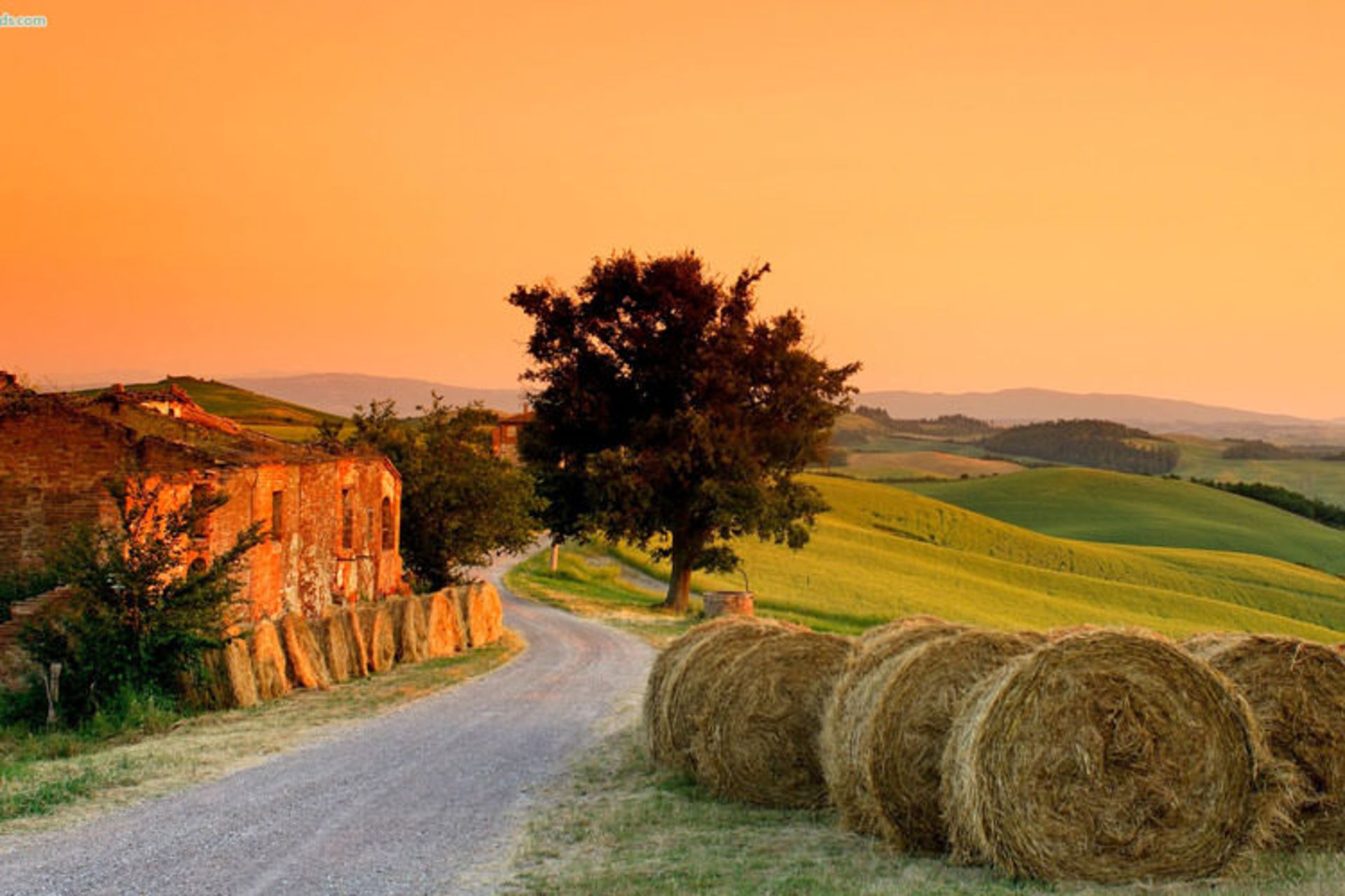Tuscany Honeymoon: Weather and Travel Guide