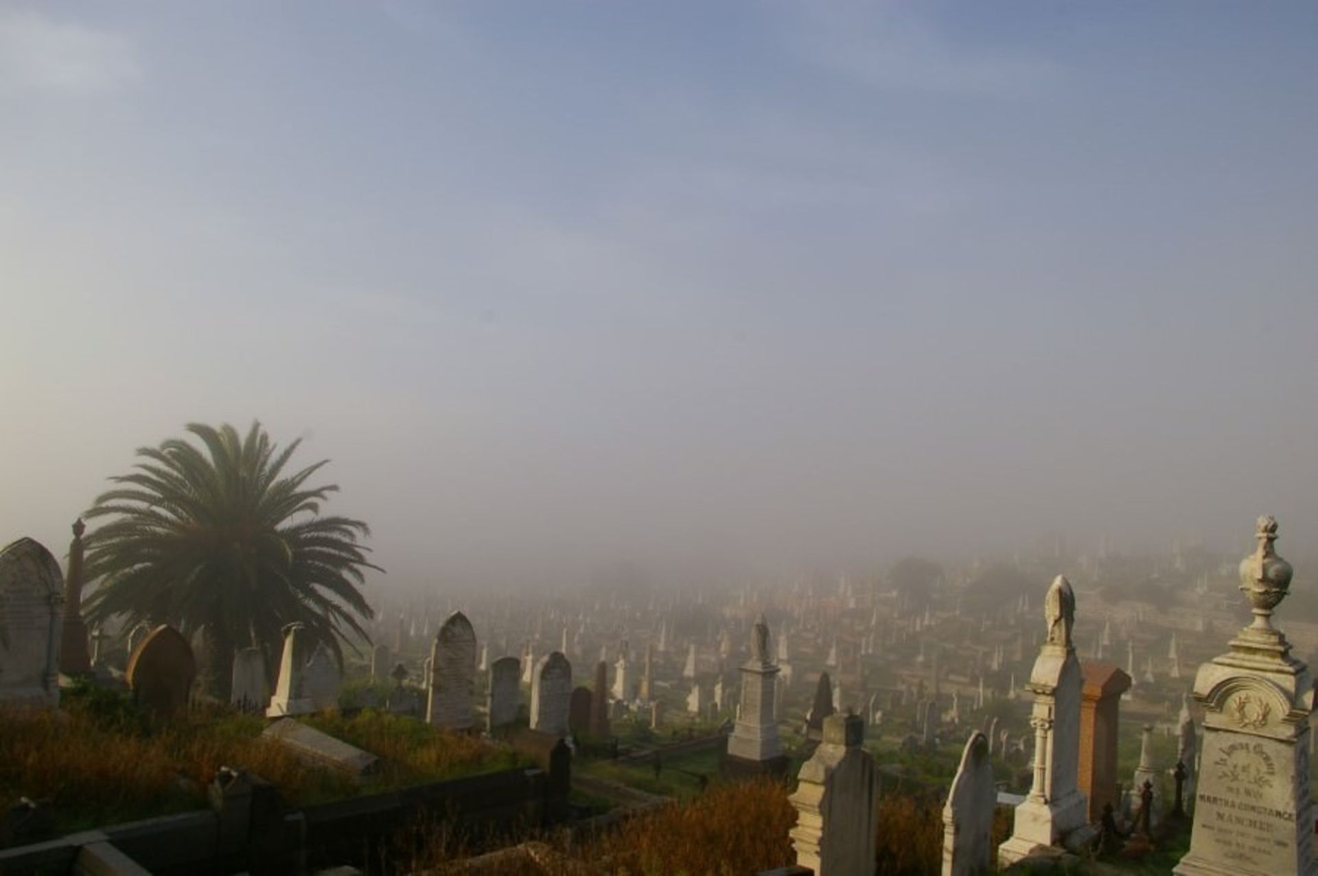 قبرستان ویورلی 