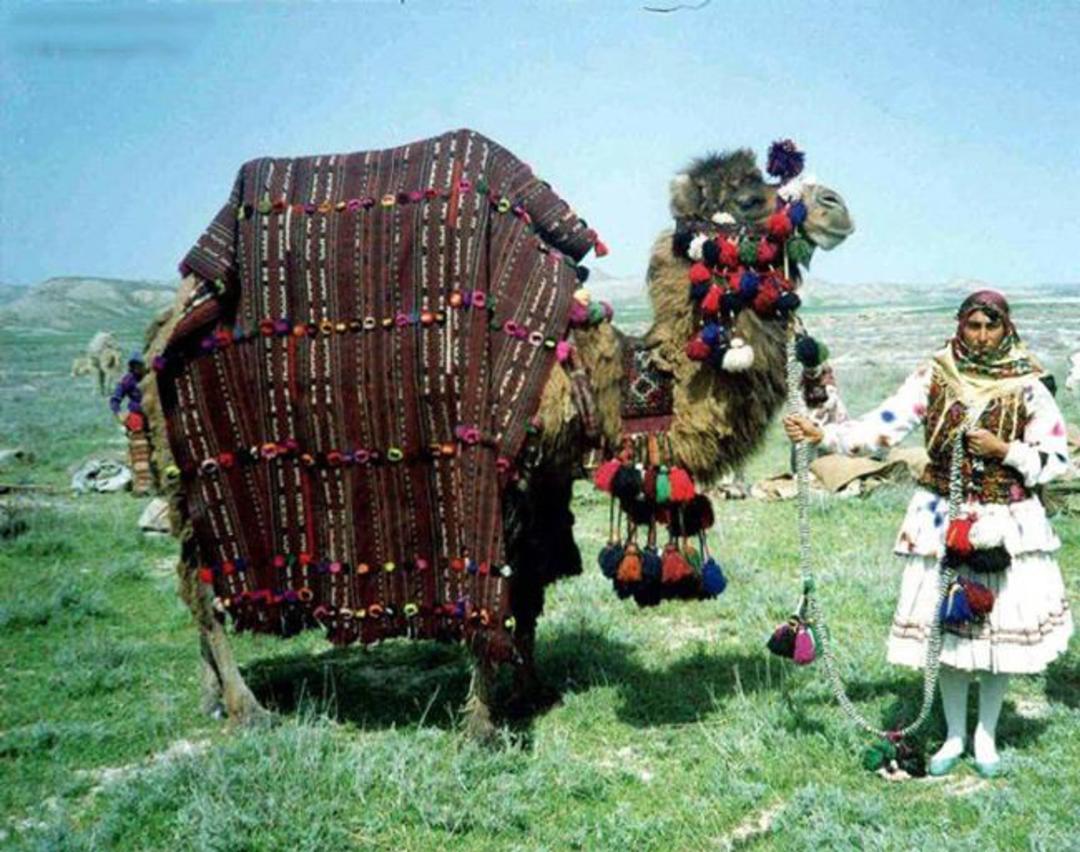 عشایر کرمانج