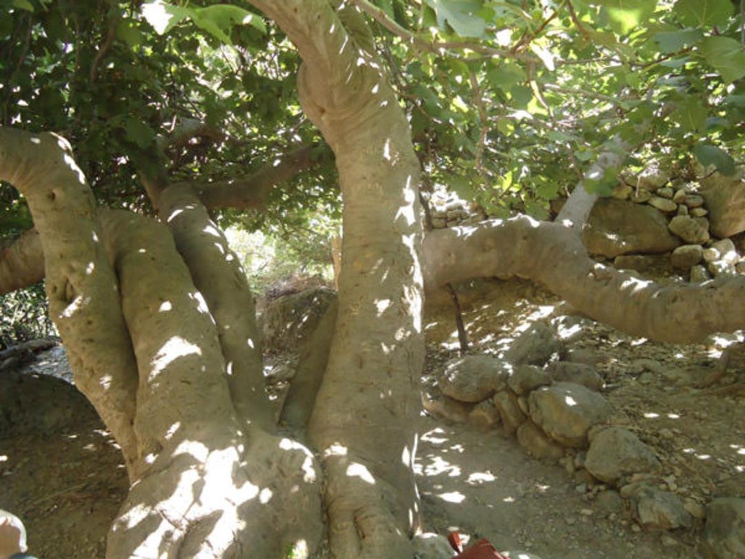 روستای گردشگری مارین