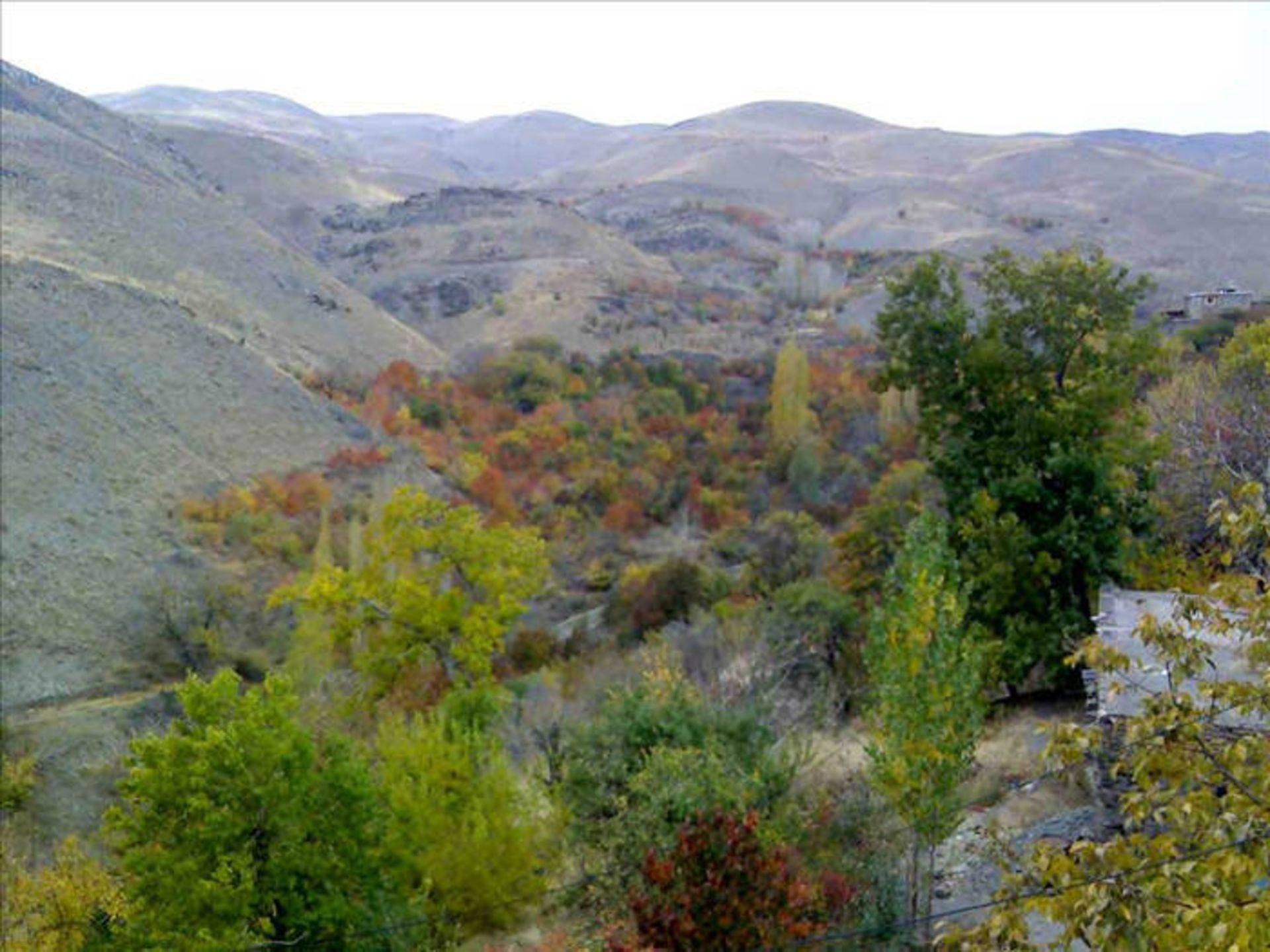 روستای دیزباد