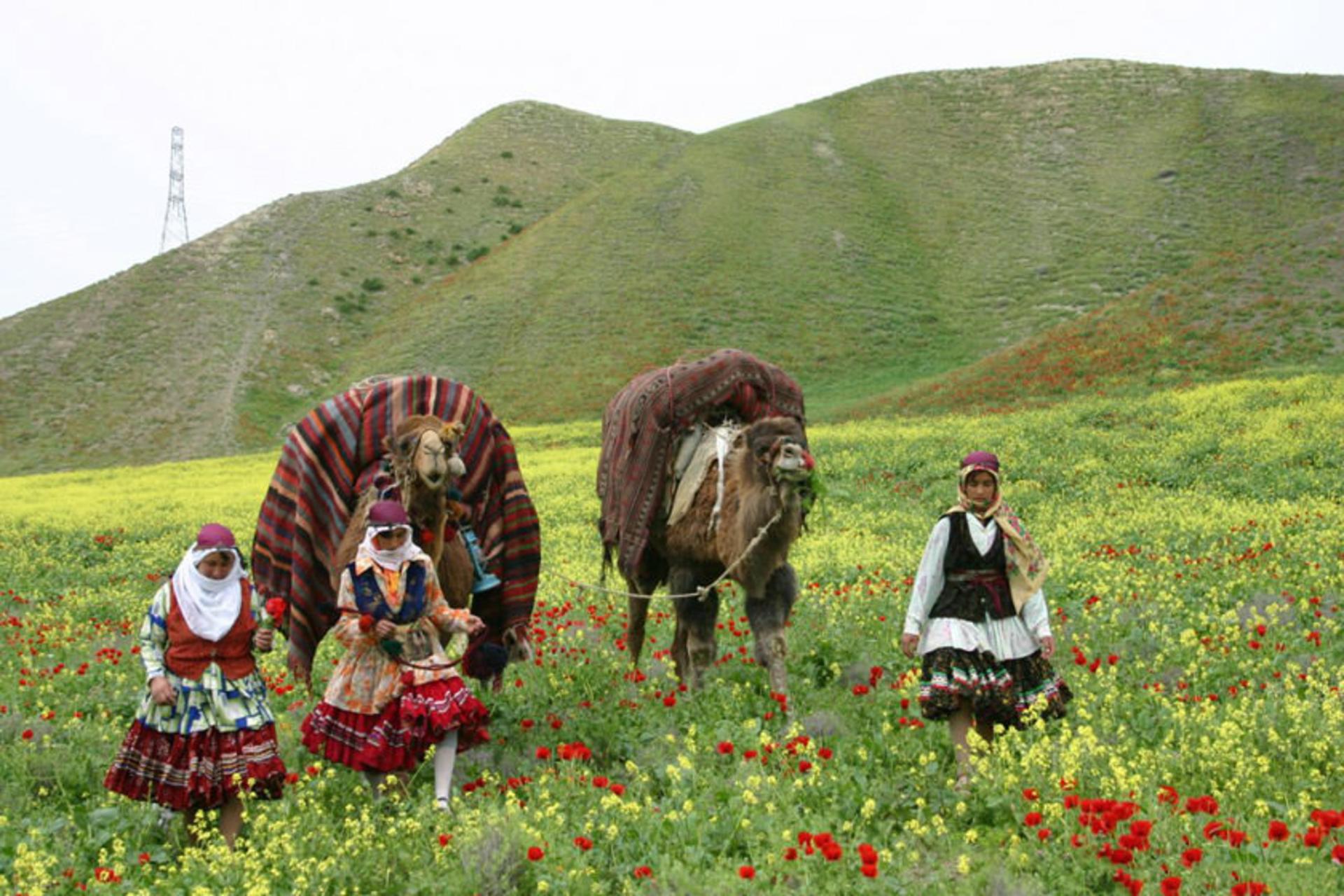 عشایر کرمانج