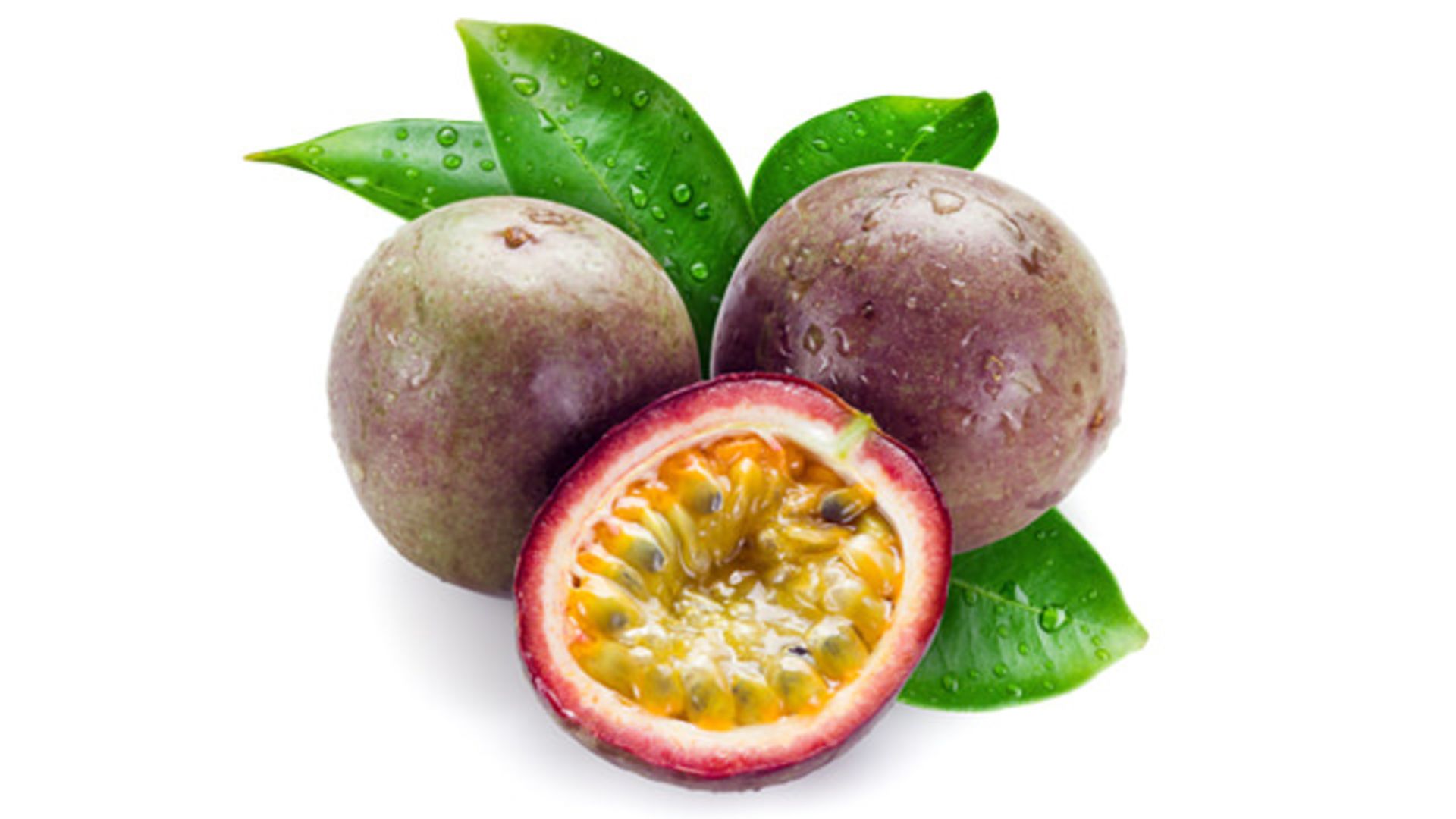 گل ساعتی
