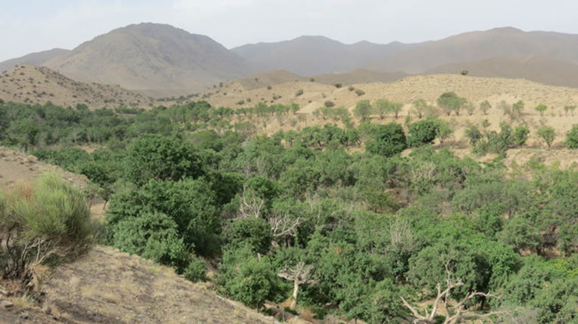روستای کریمو