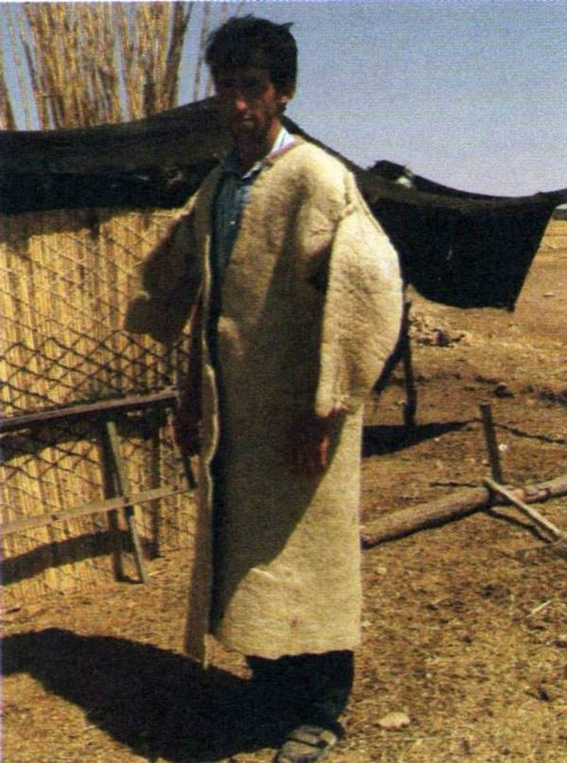 فرجی