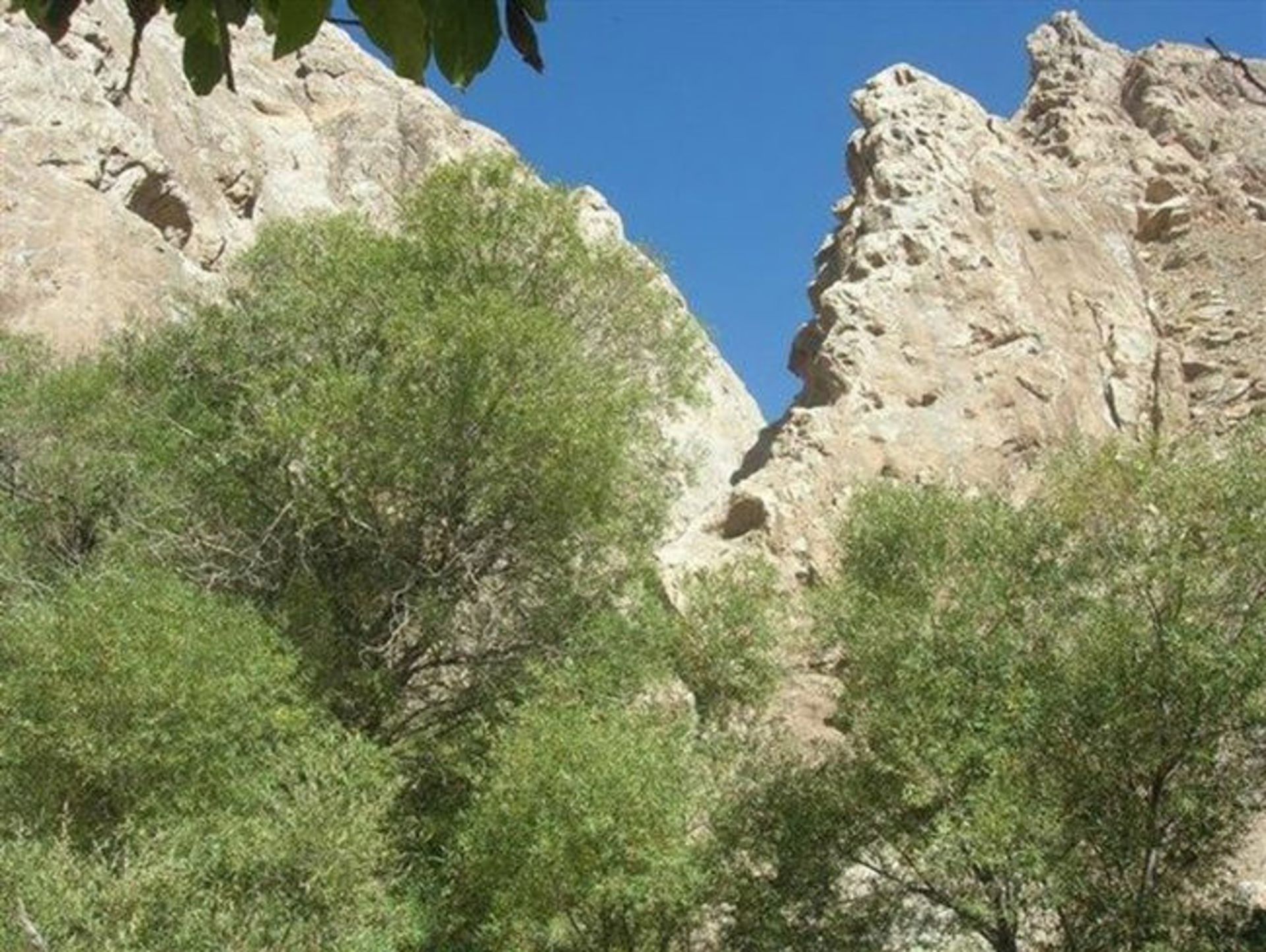 روستای کریمو