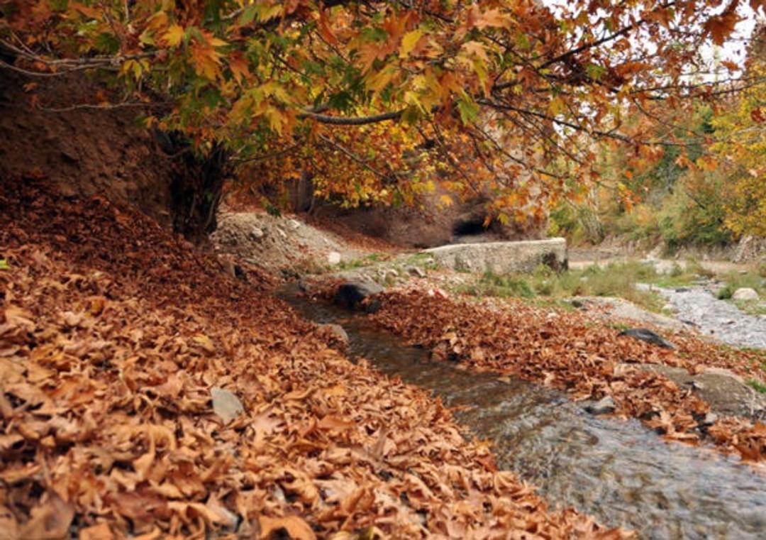 روستای بوژان