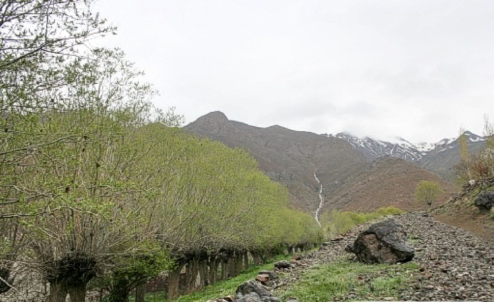 دشت هویج