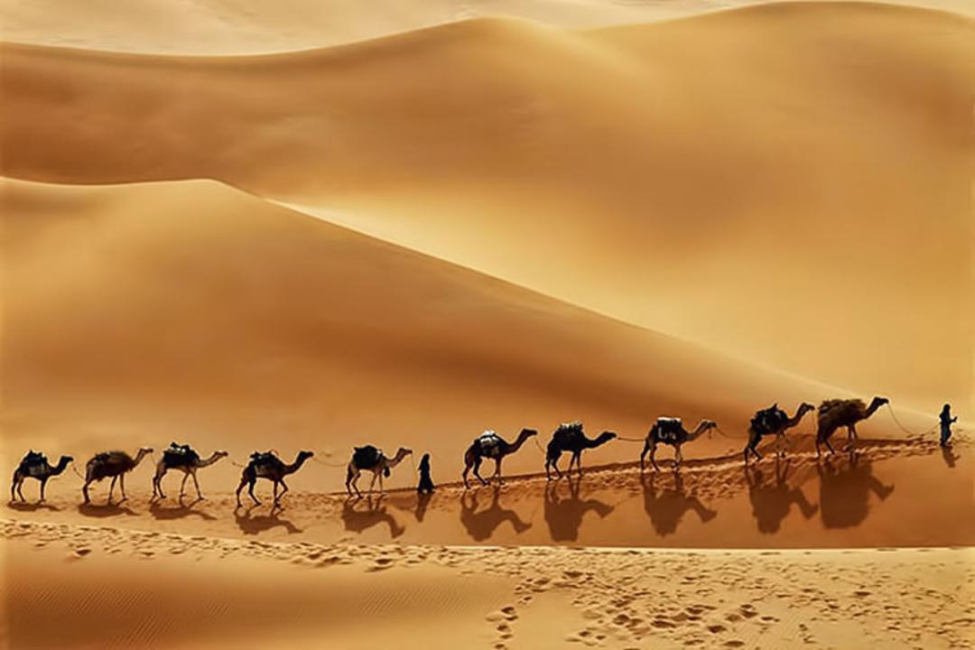 عربستان