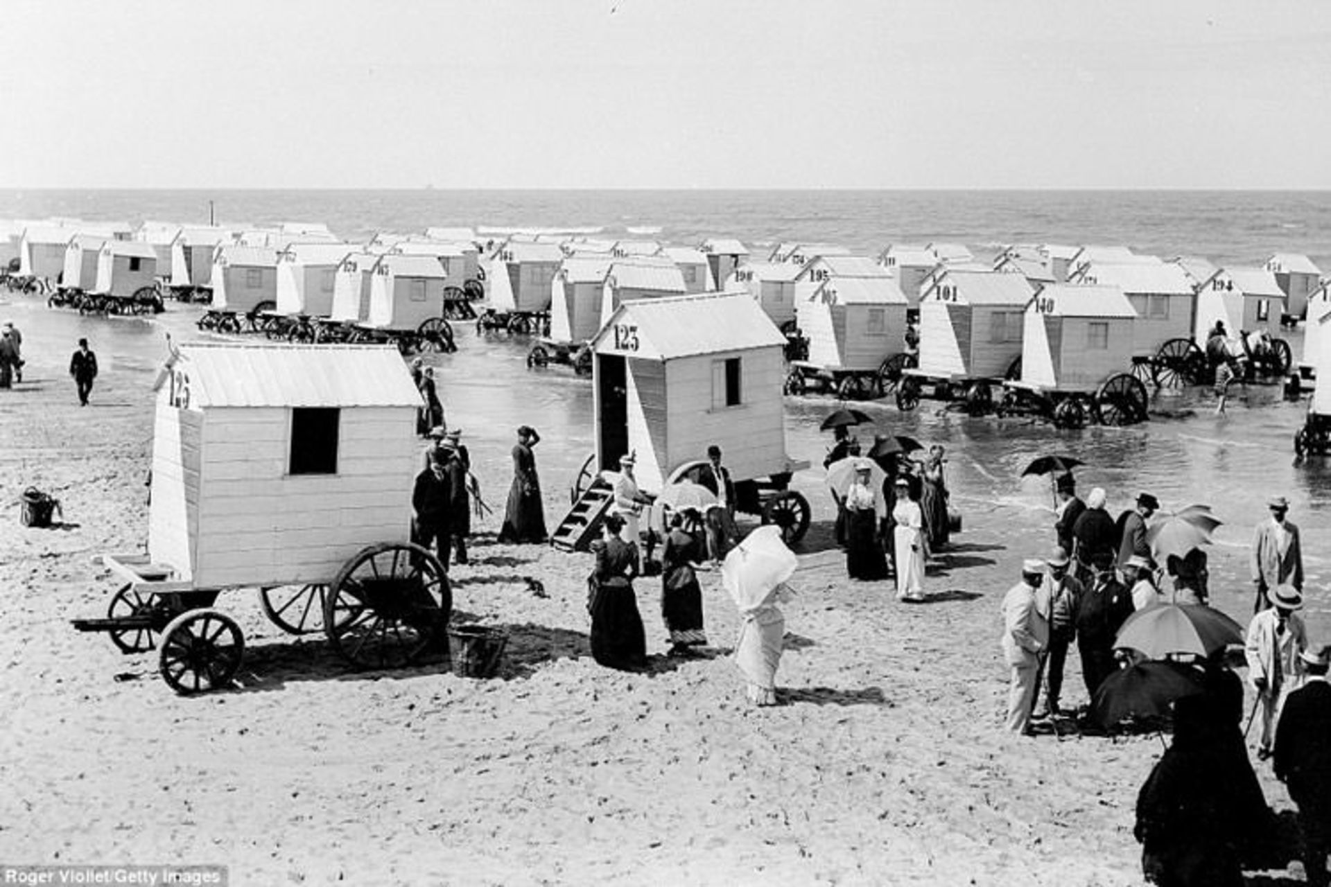 درشکه شنا