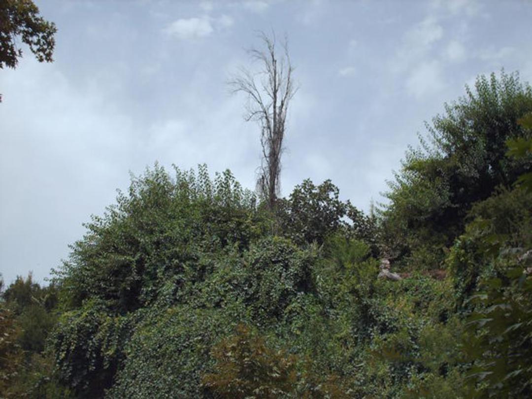 روستای گردشگری مارین