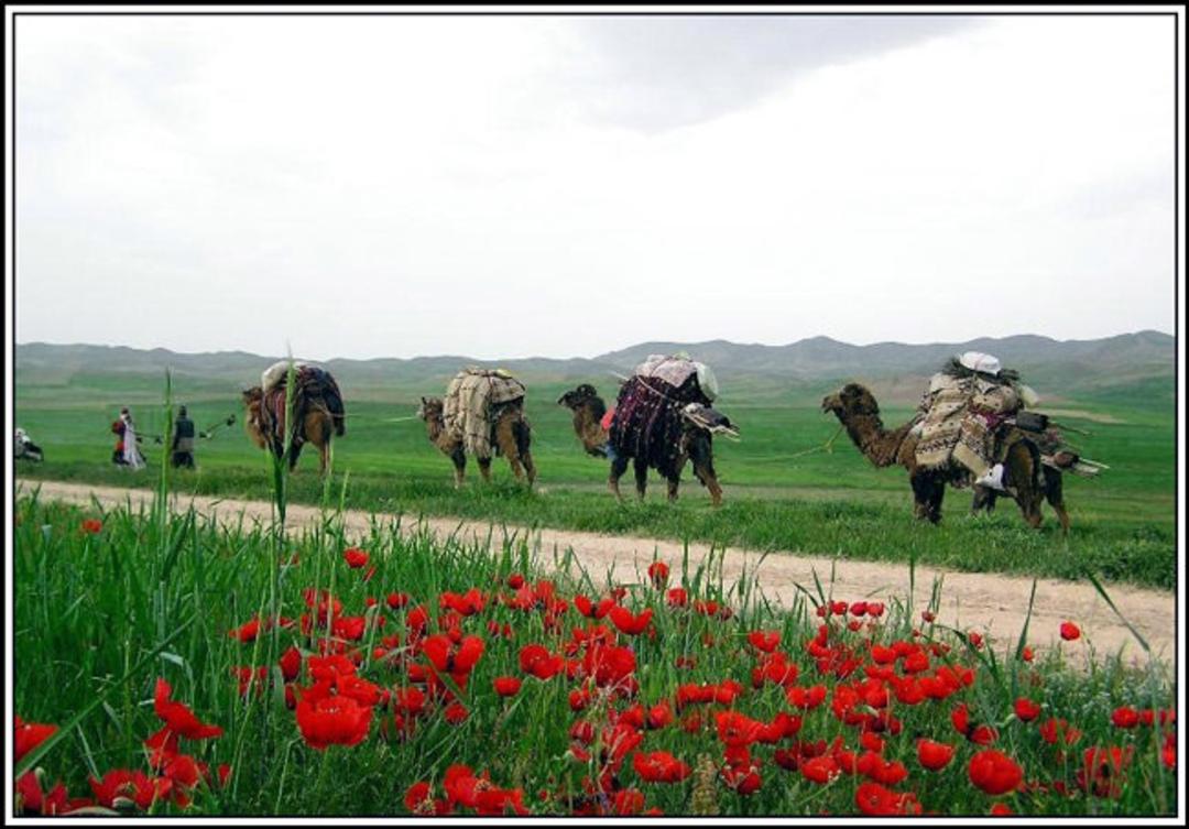 عشایر کرمانج