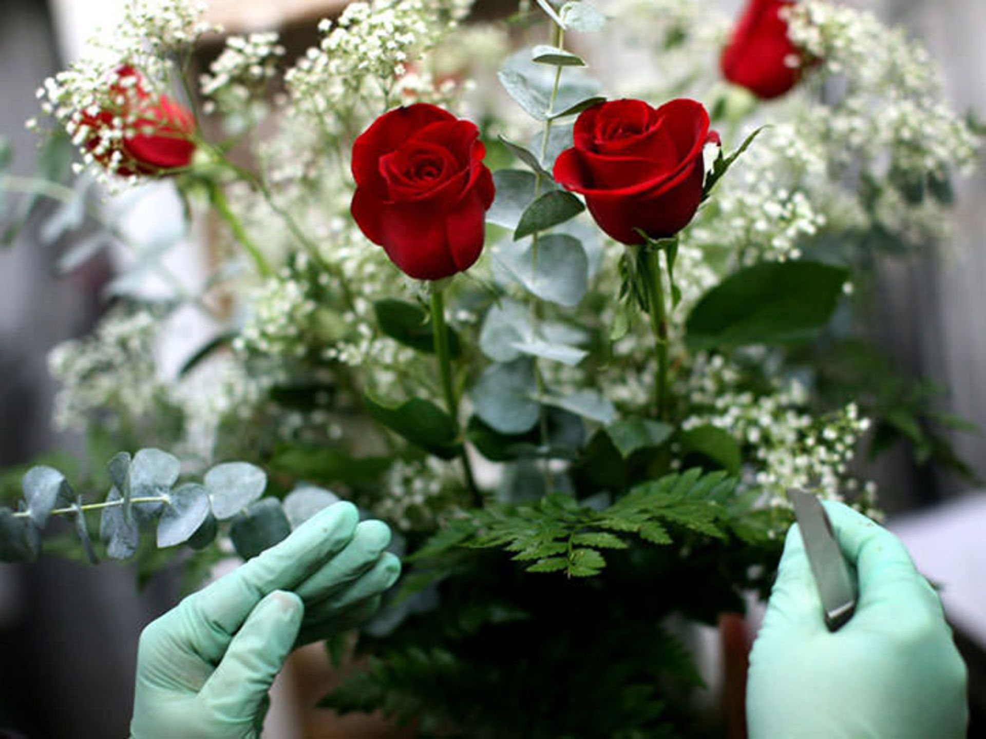 روسیه