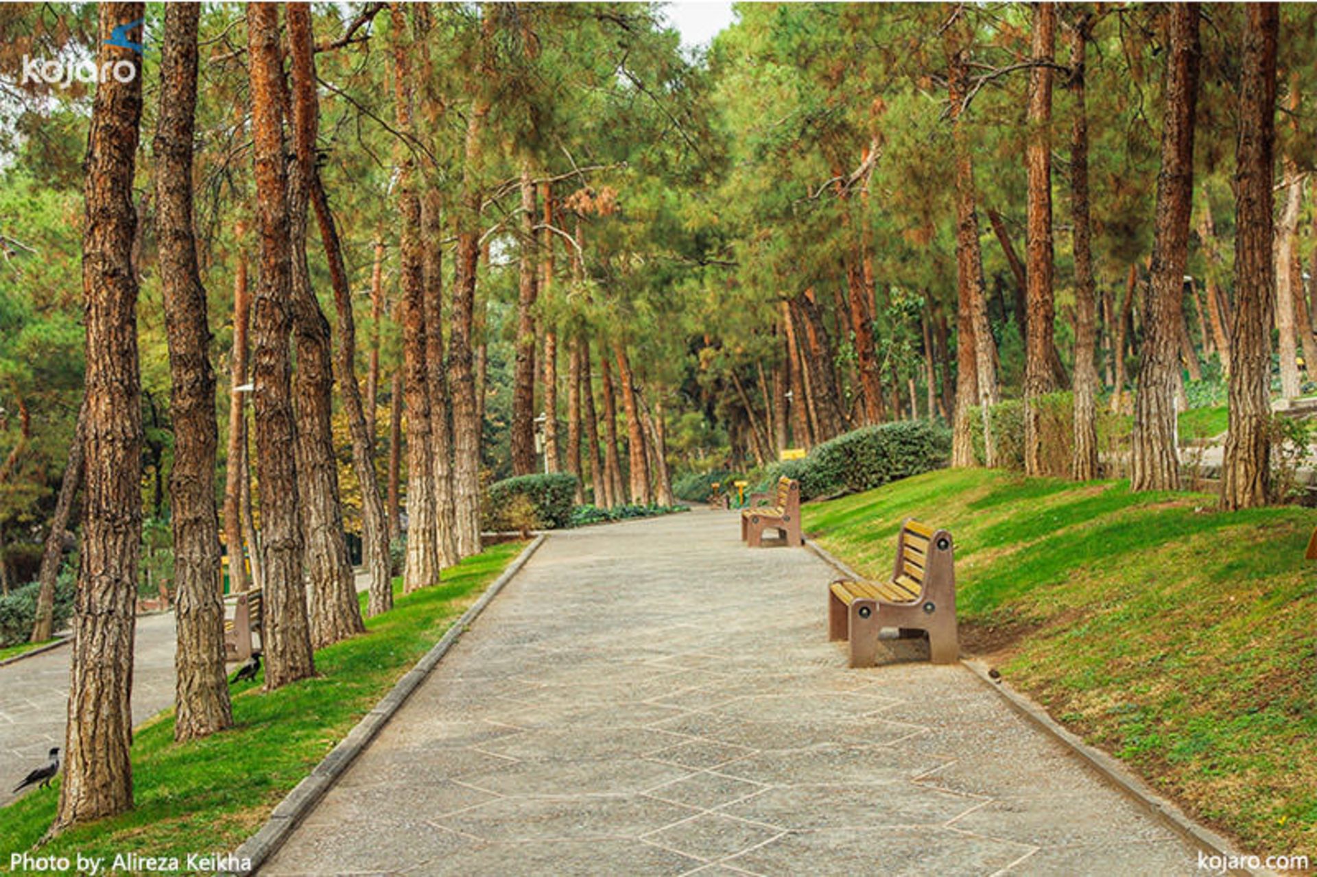 عکاسی پاییزی در تهران 