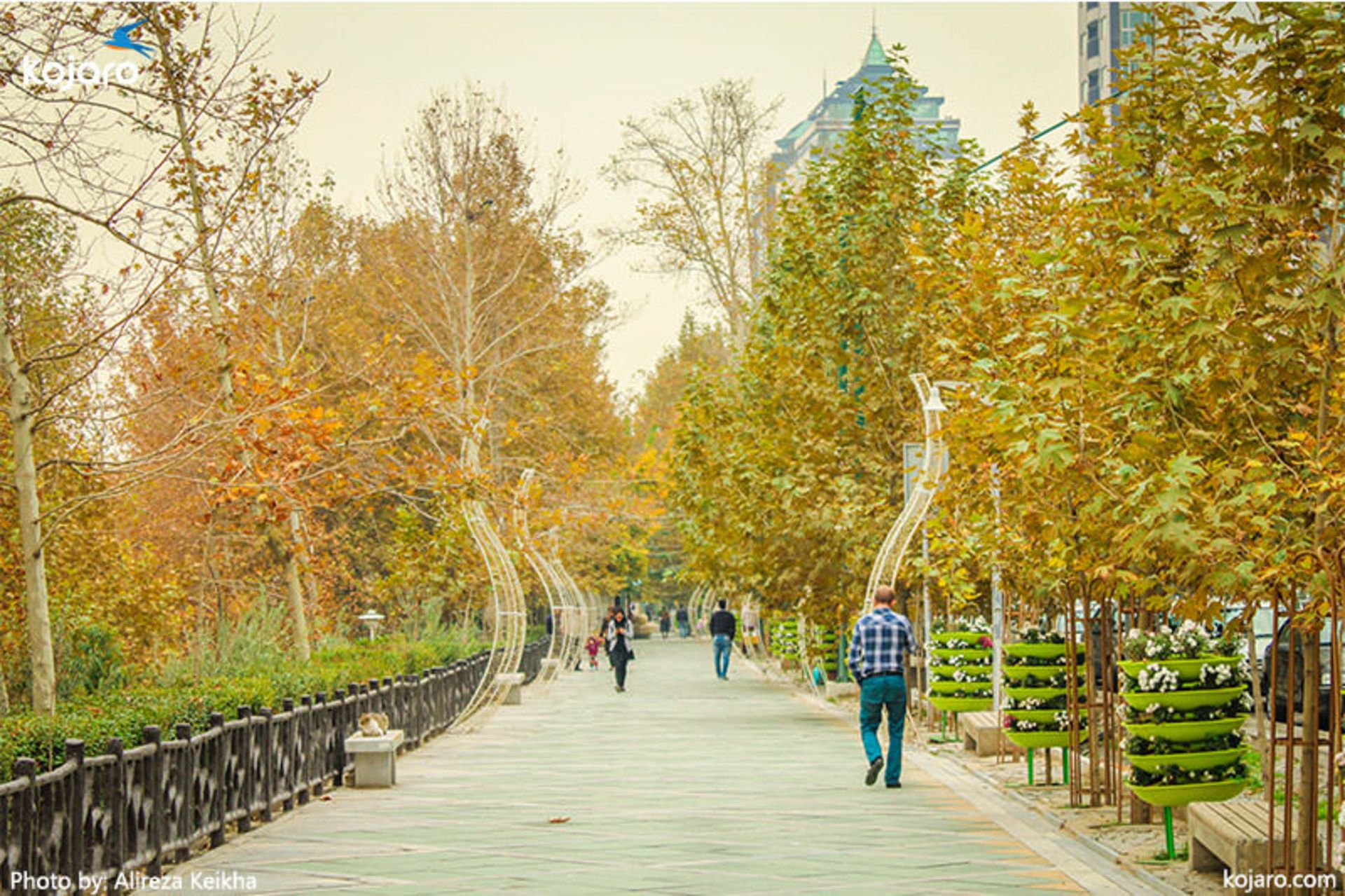 عکاسی پاییزی در تهران 