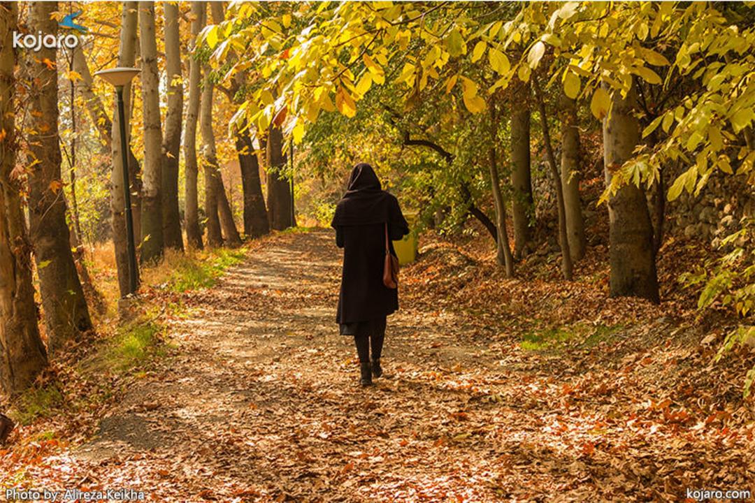 عکاسی پاییزی در تهران 