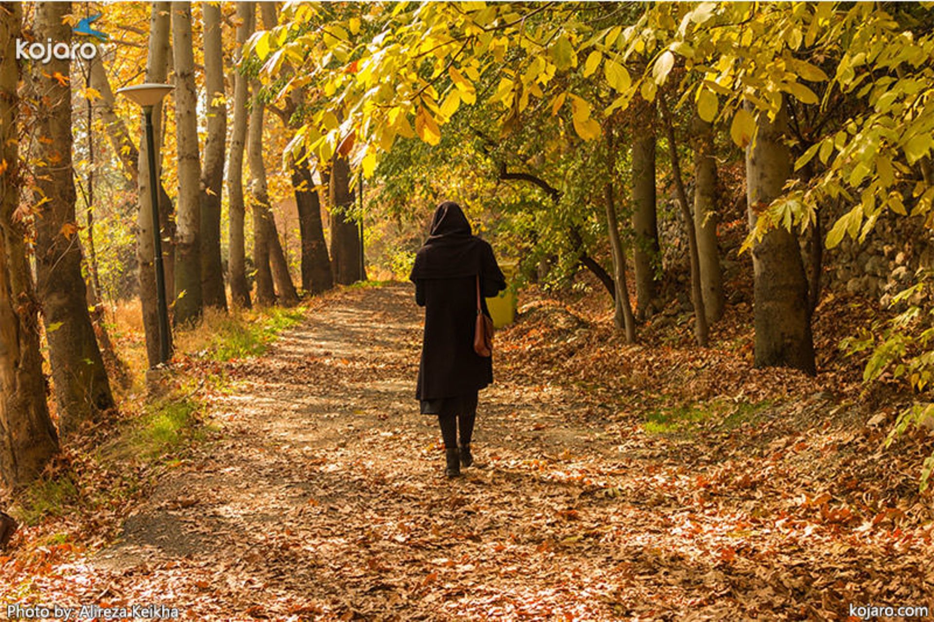 عکاسی پاییزی در تهران 