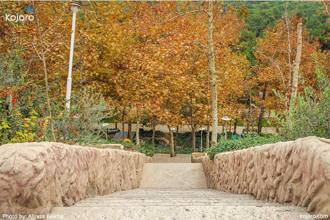 عکاسی پاییزی در تهران 