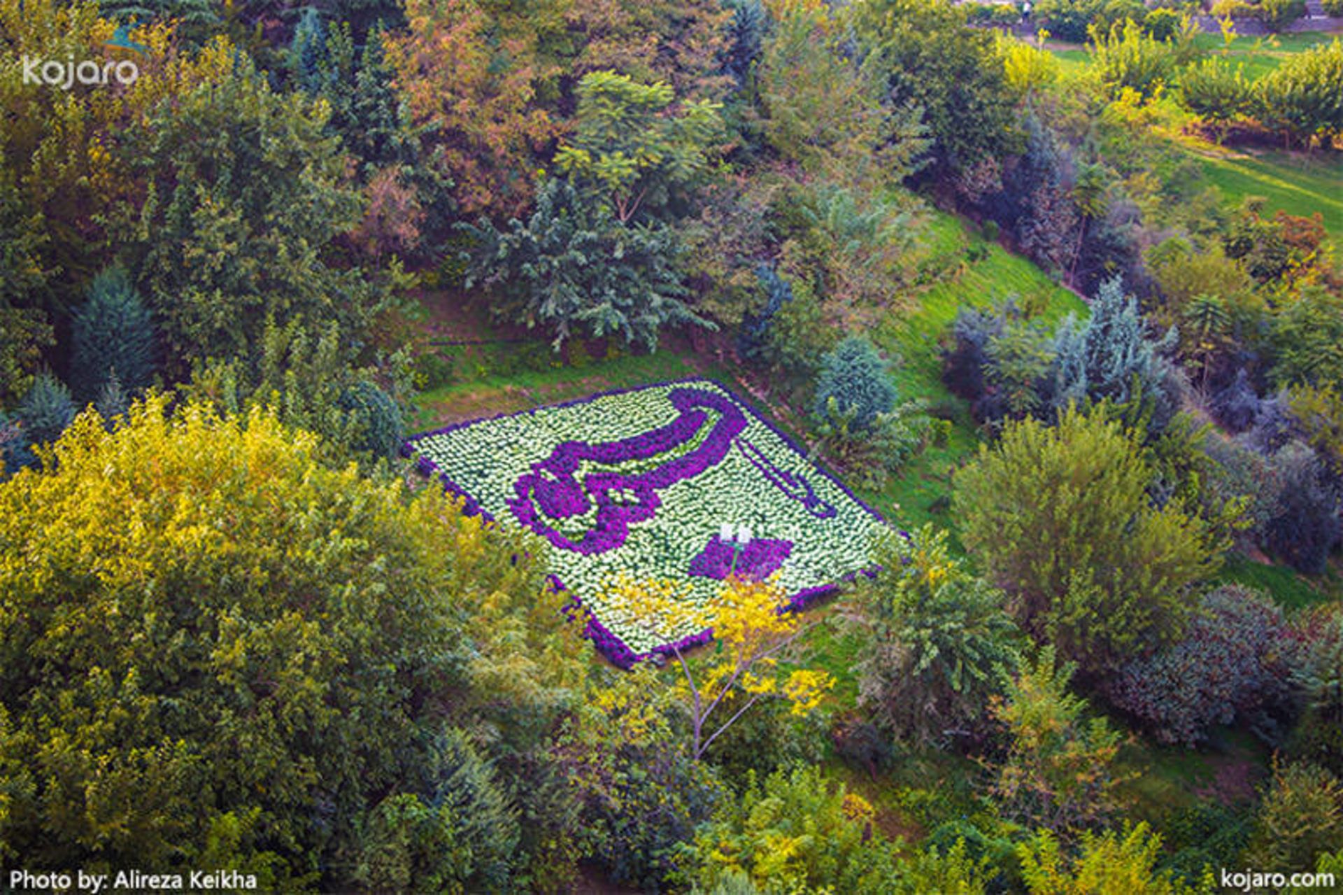 عکاسی پاییزی در تهران 