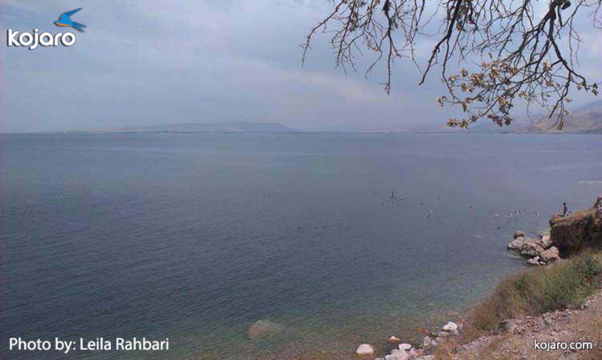 دریاچه وان