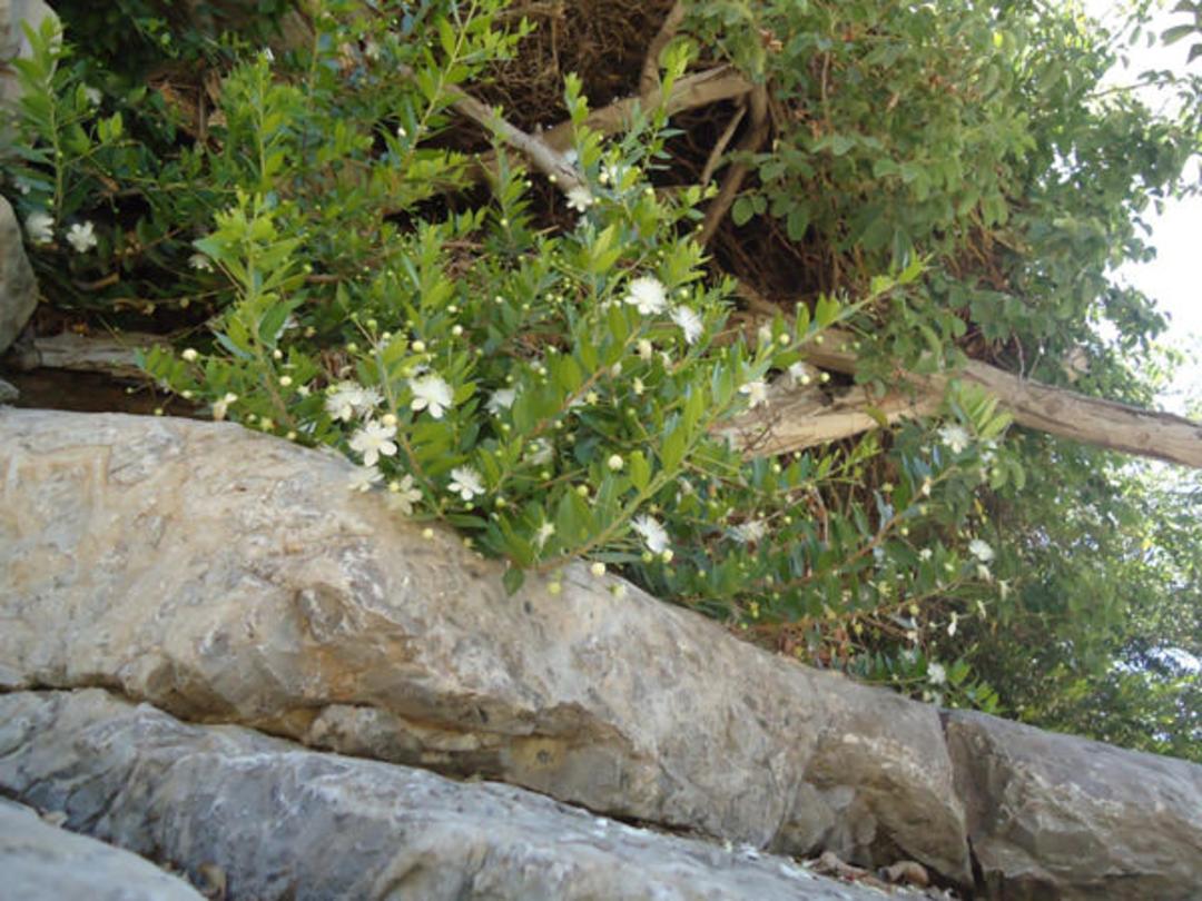 روستای گردشگری مارین