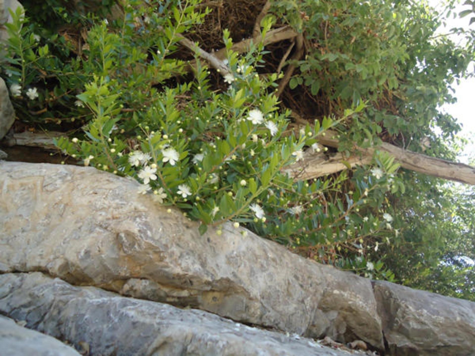 روستای گردشگری مارین