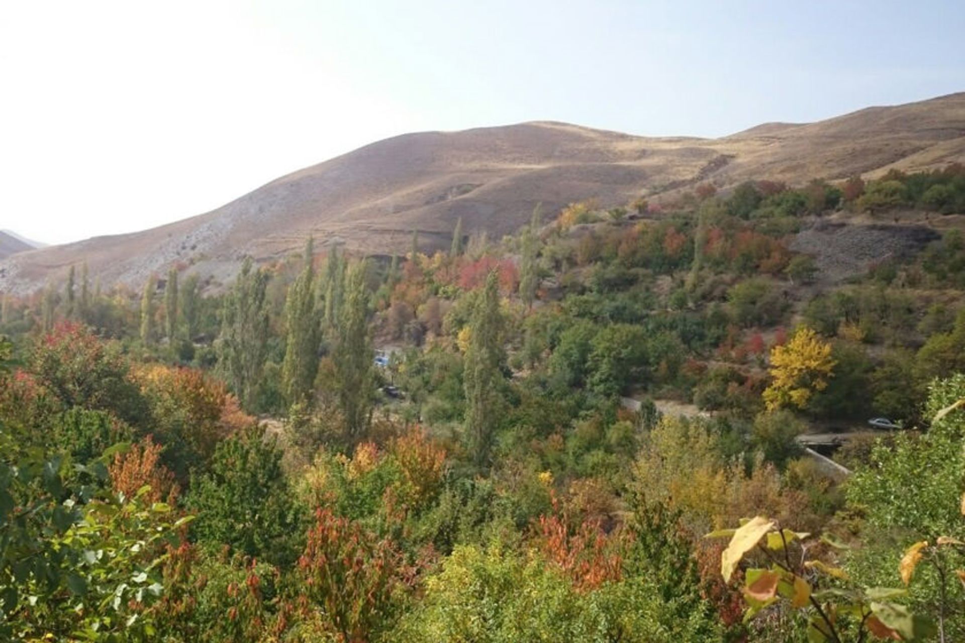 روستای گردشگری دیزباد