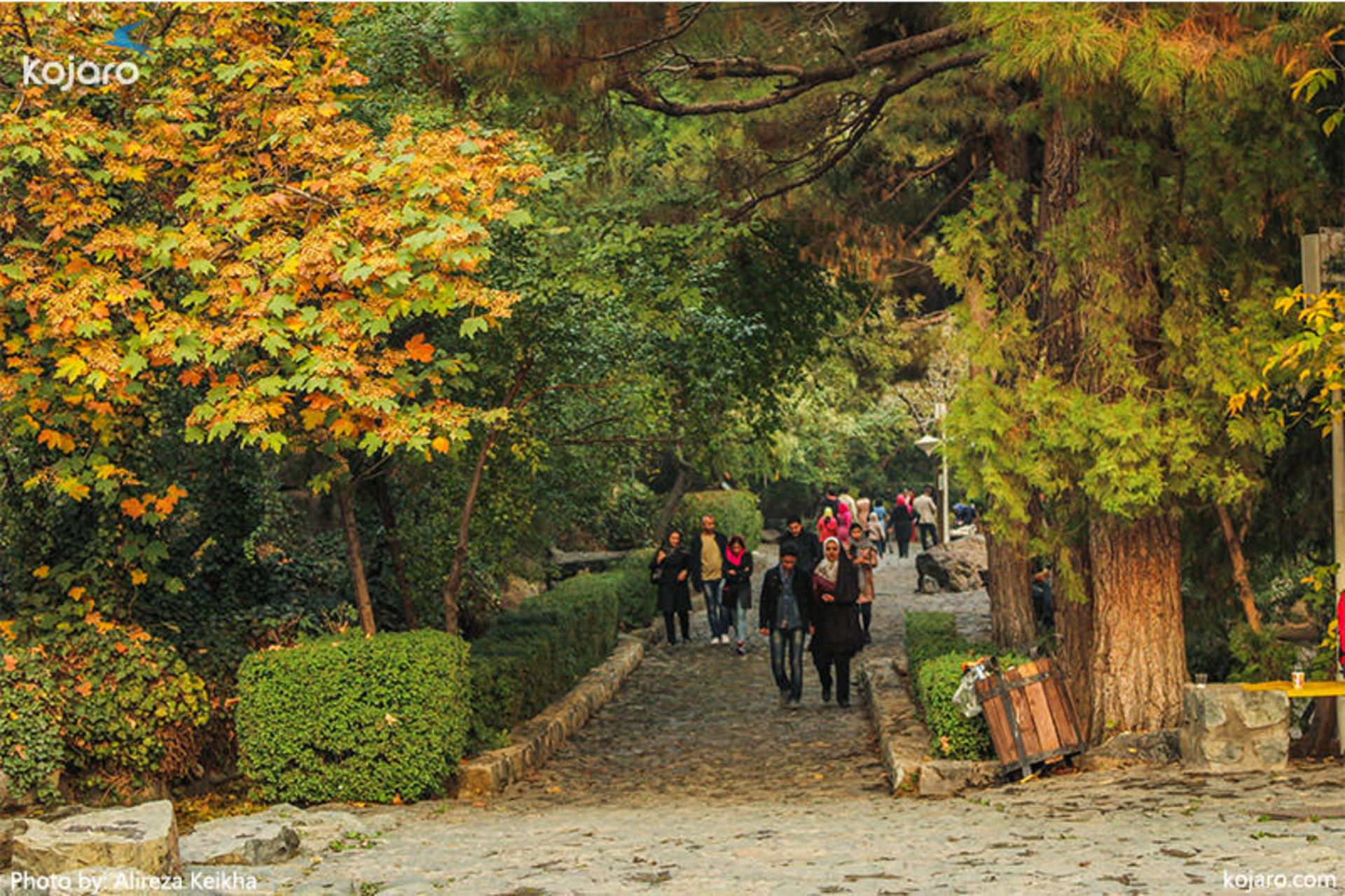 عکاسی پاییزی در تهران 