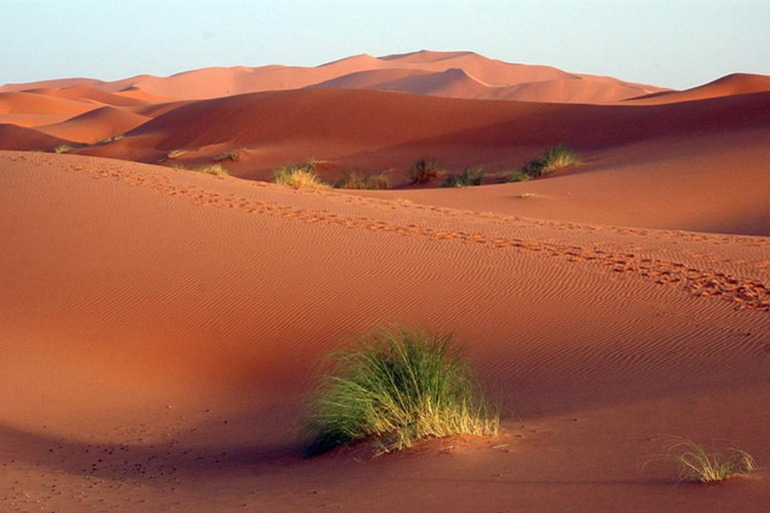 الجزایر