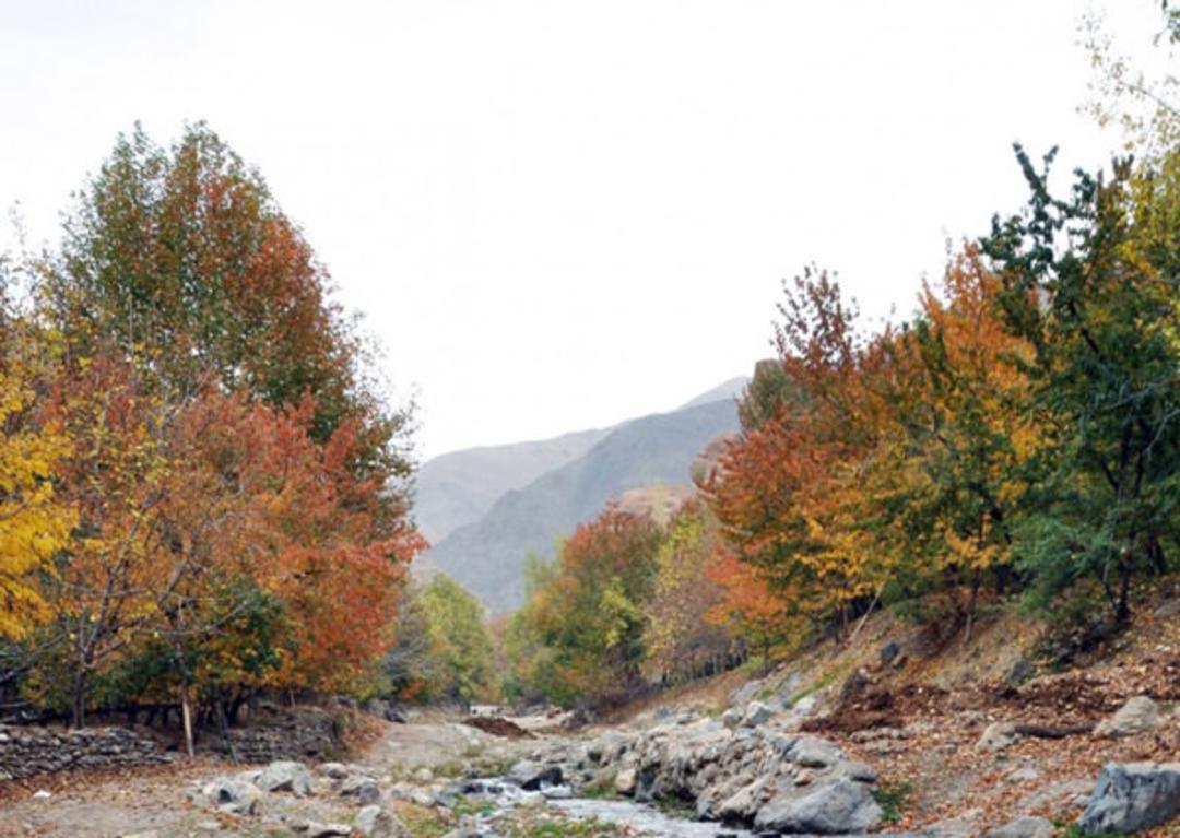 روستای بوژان