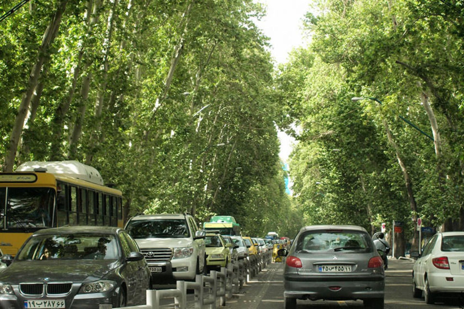 خیابان ولیعصر